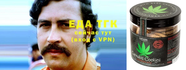 твердый Гатчина