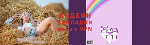 метадон Вяземский