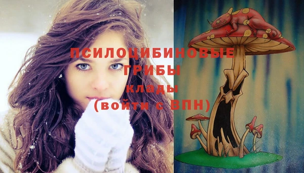 метадон Вяземский