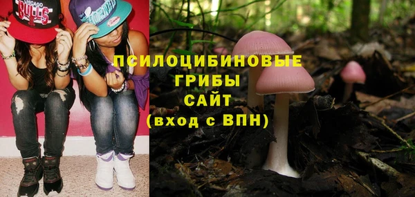 метадон Вяземский