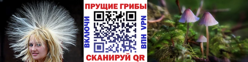 Галлюциногенные грибы Magic Shrooms  сколько стоит  мега как войти  Верхотурье 